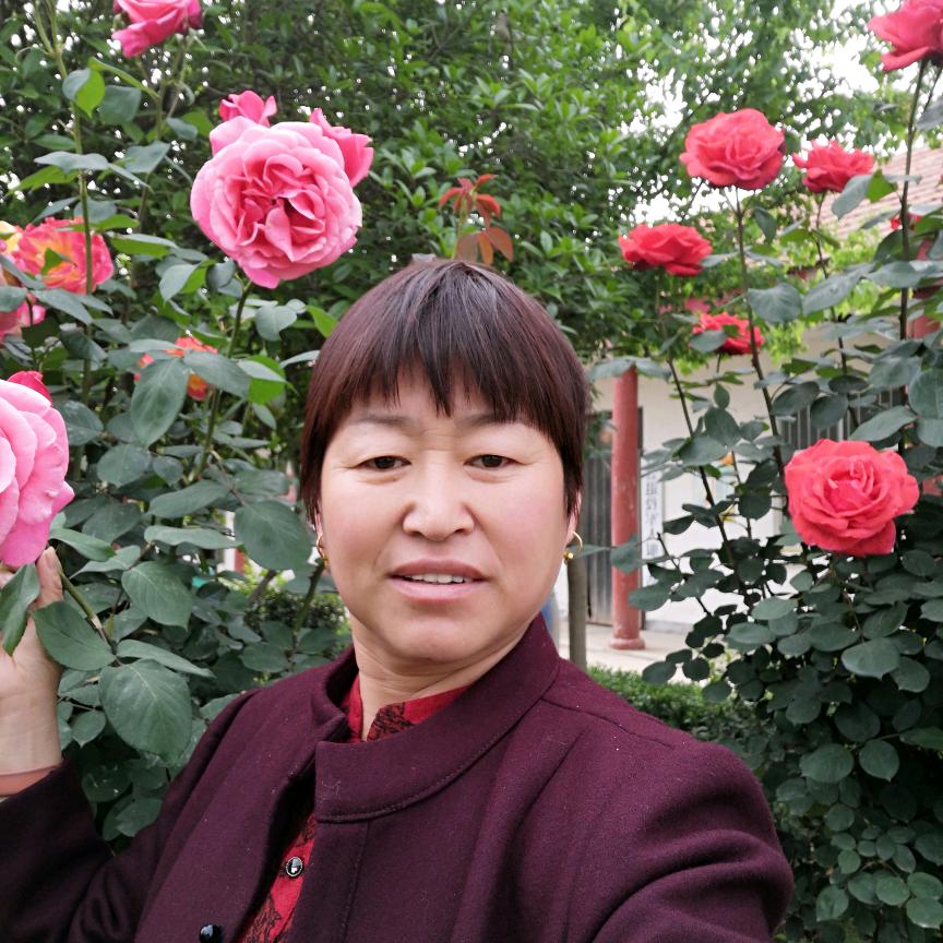 秀梅