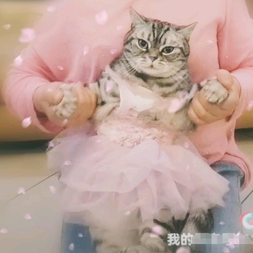 文玲