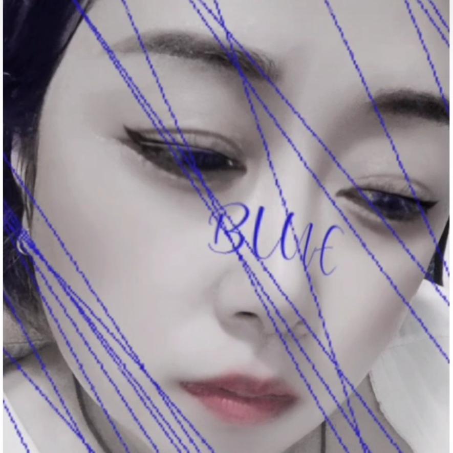 《程》郭村A出售散养鸡鸭鹅鸳鸯