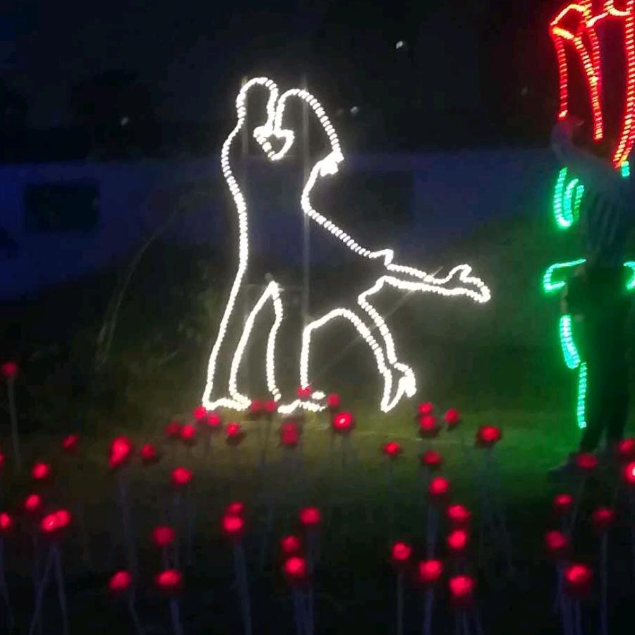 大门牙，