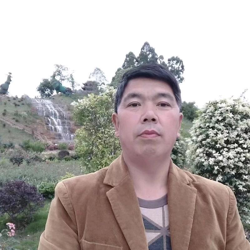 晴天便好_24506