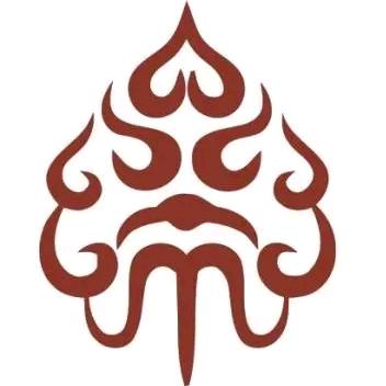 抖帝