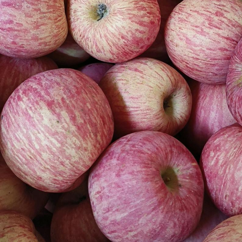 华圣果品纸业@海燕