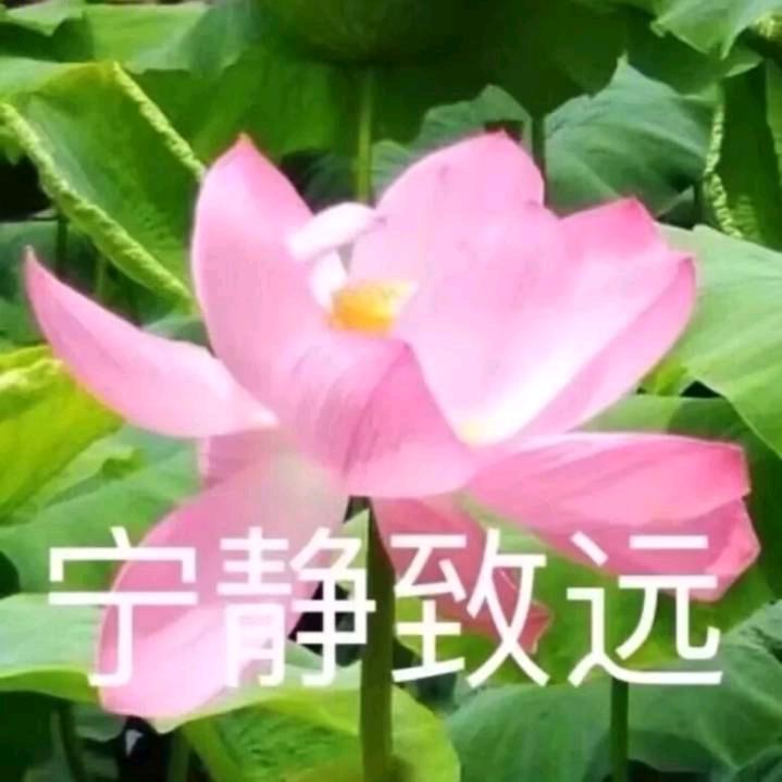 :+༺࿈江࿈༻+: