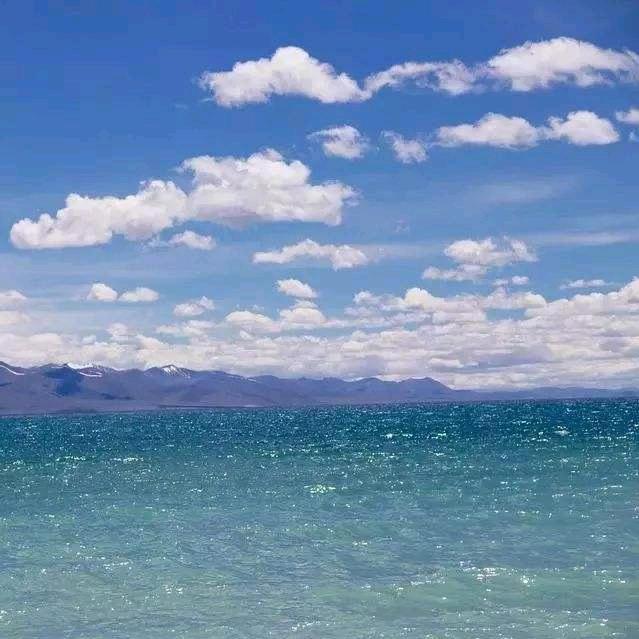 清水玲子
