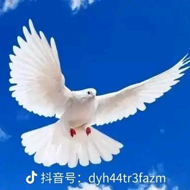 @亚伦777