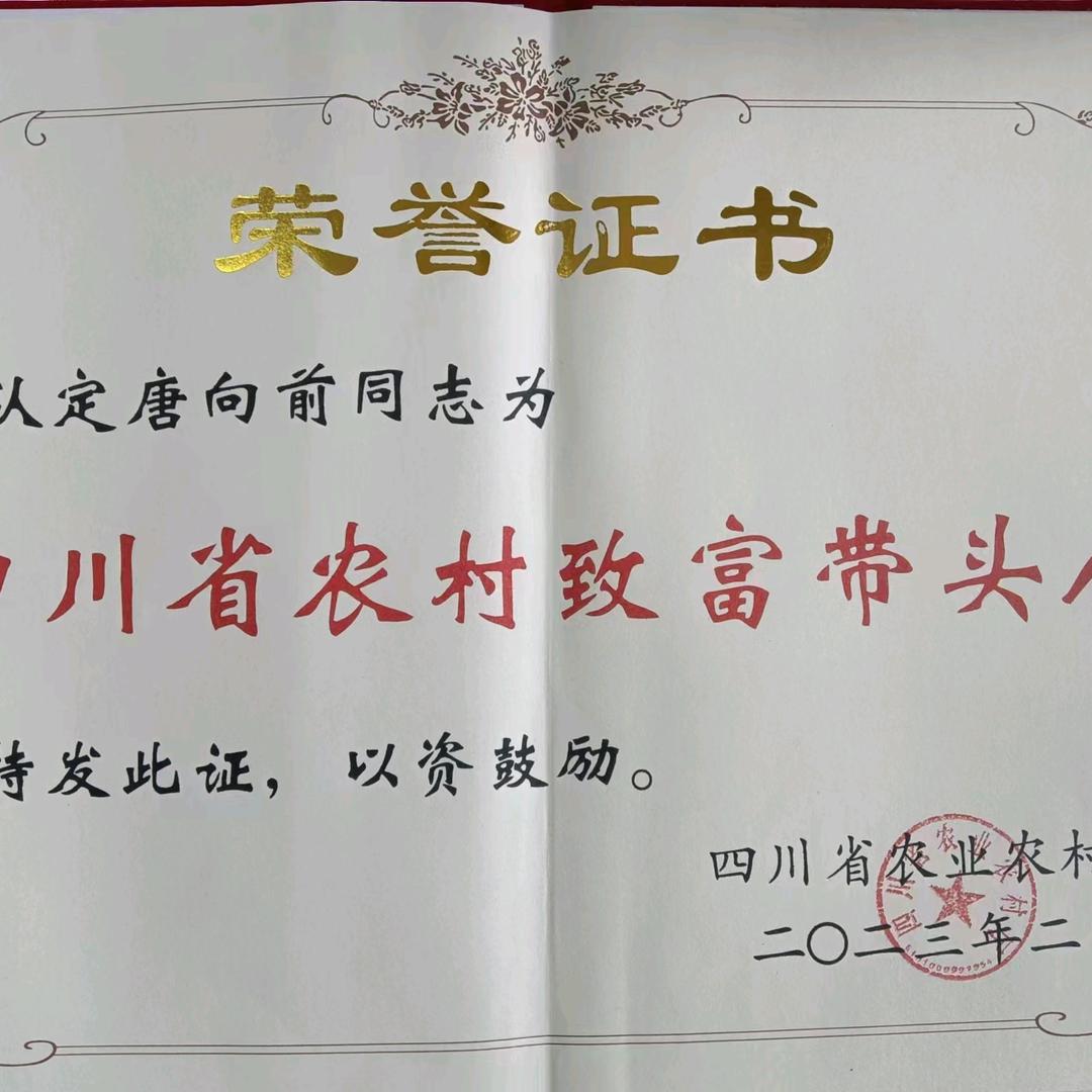德前农牧 牛羊技术培训早上6点直播