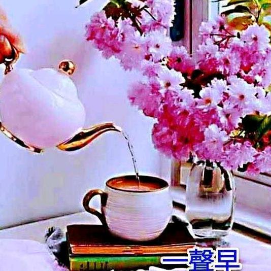 晓斌