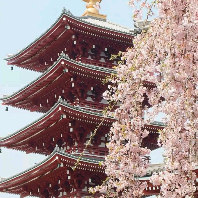 木林森