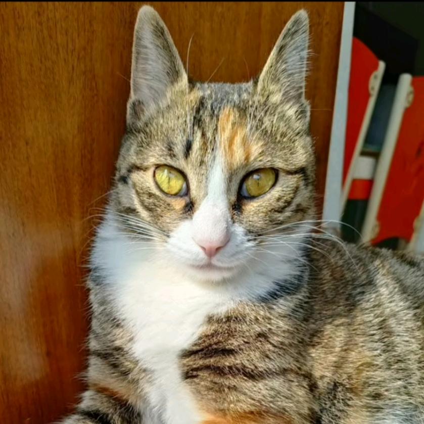 😻七月and圆圈😻