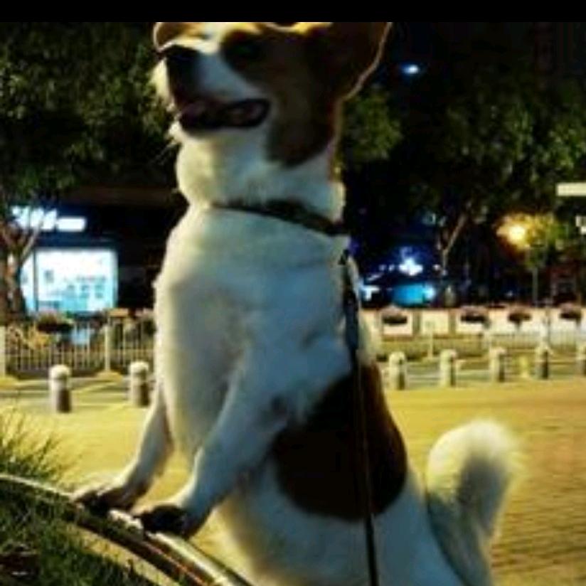 东方旋风