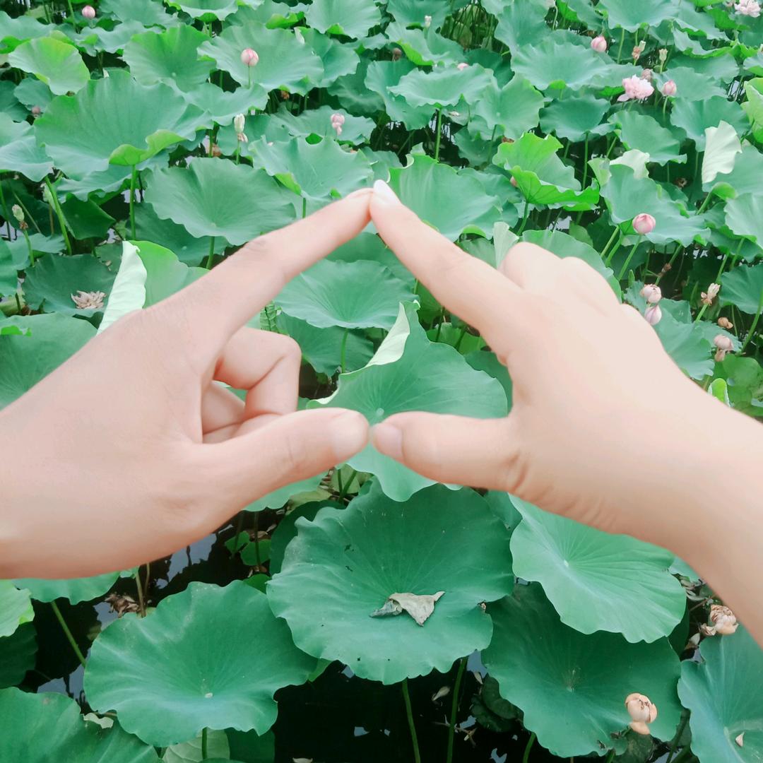 珍爱