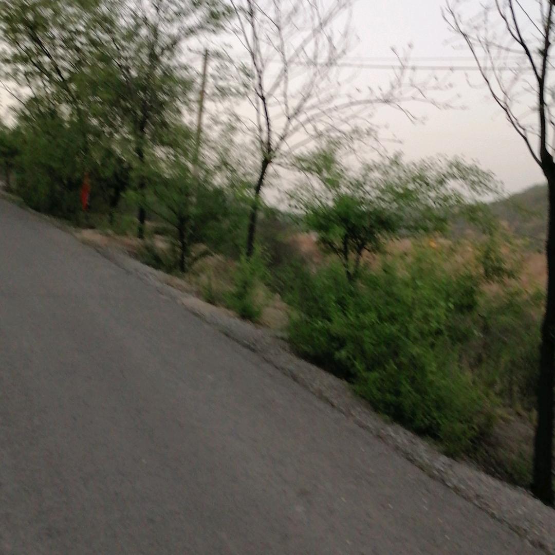 此生无悔