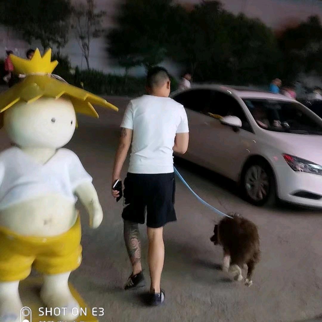 🌎释然🇨🇳