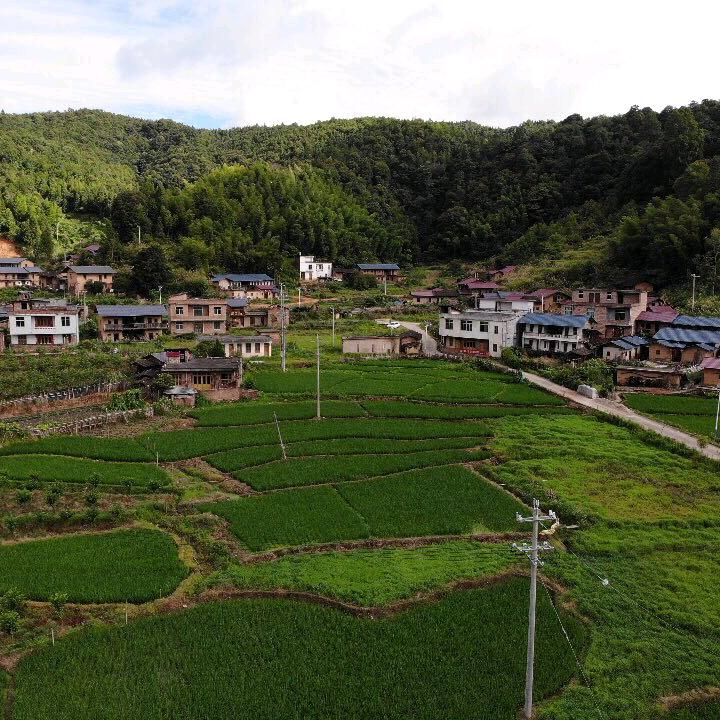 防汛抗洪挡水板厂家