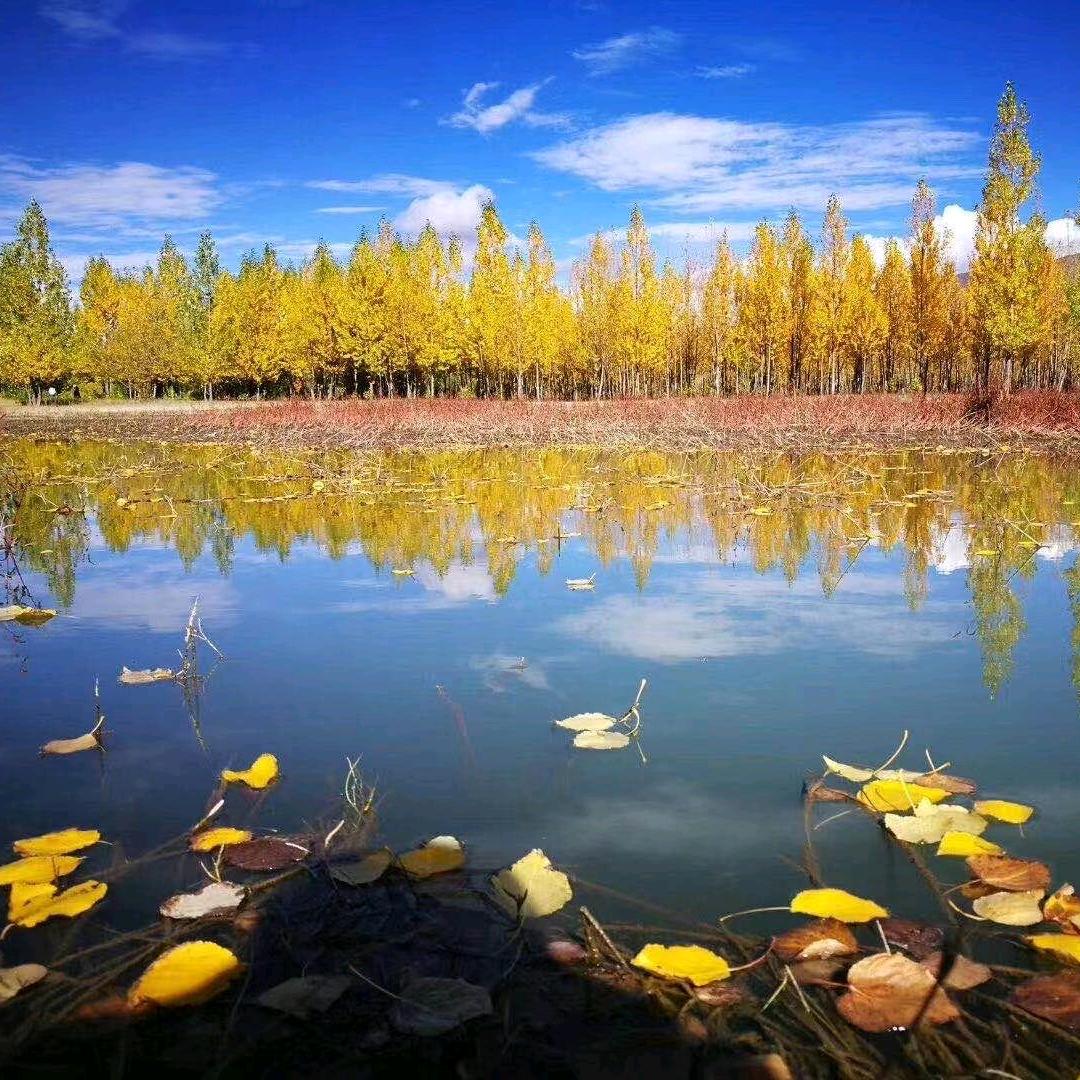 61年幸运的女神