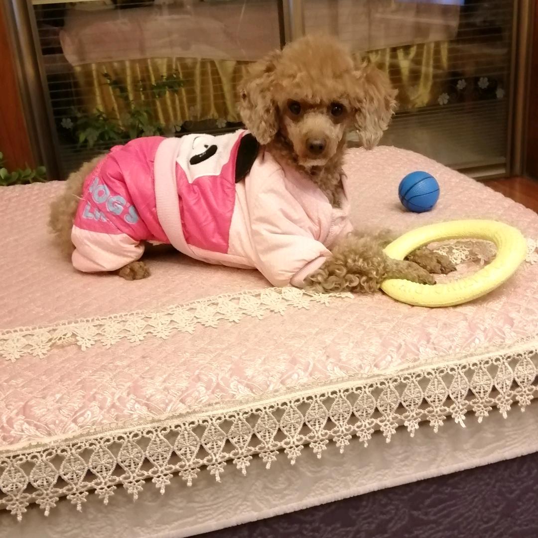 💞相逢是首歌💕