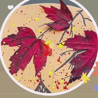 落叶🍂🍂