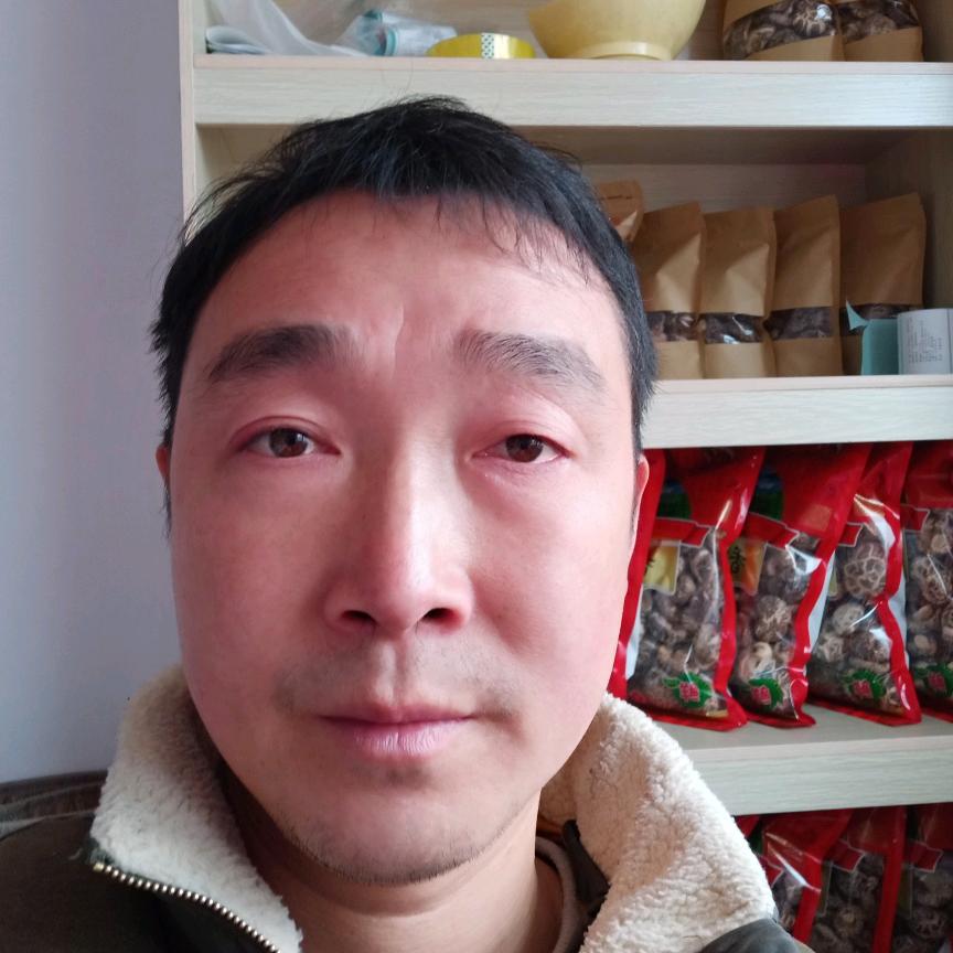 木林珍菌菇