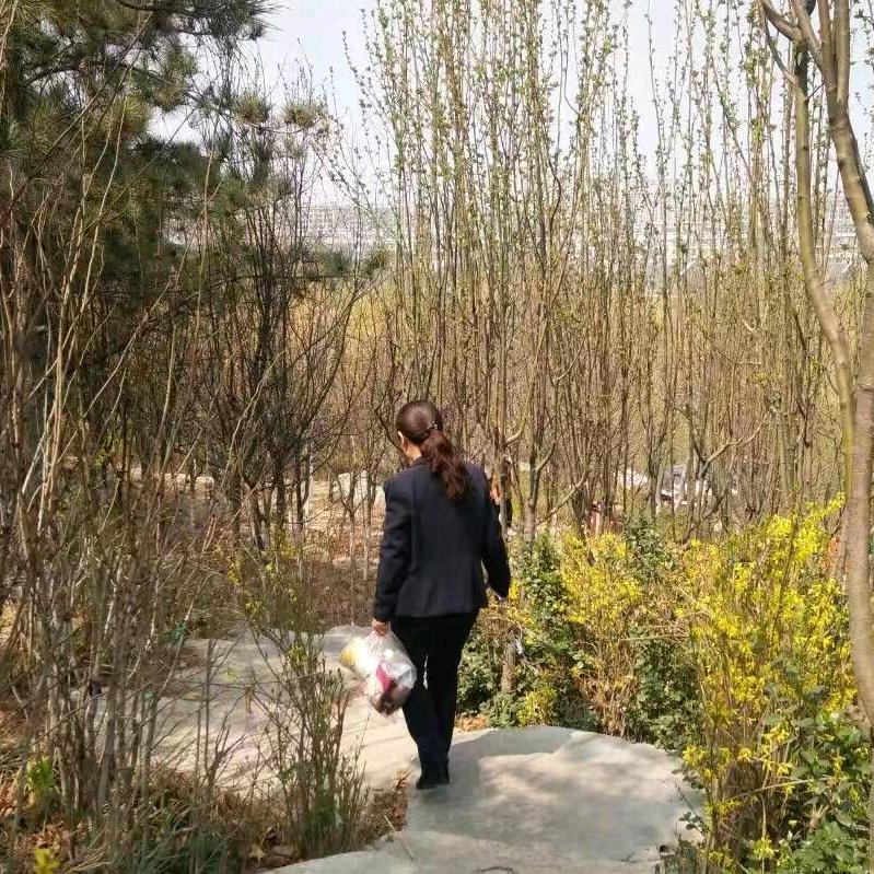 山东博兴县雅尼不锈钢橱柜