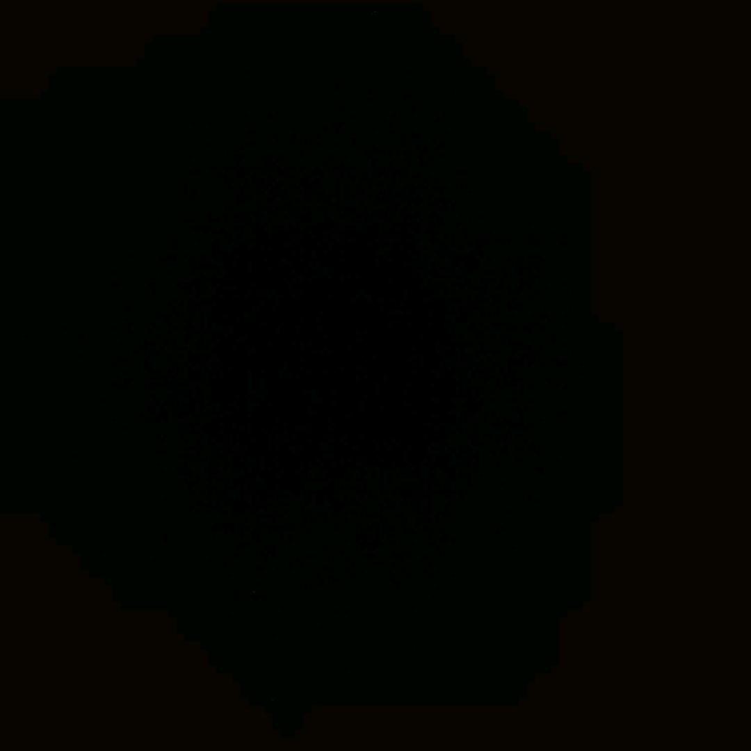 肥肥老黑羊