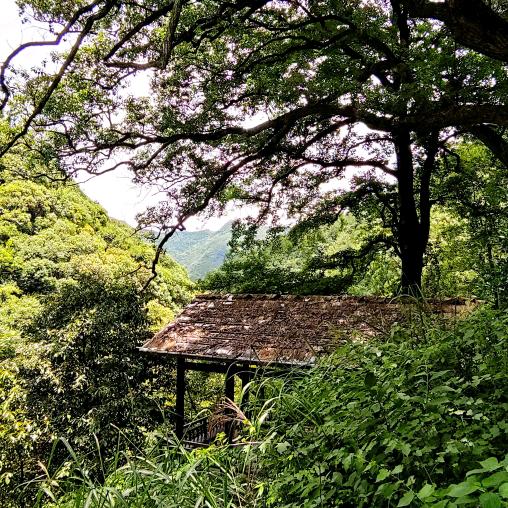 独行侠💖🧡ྀི💛ྀི❤️ྀི