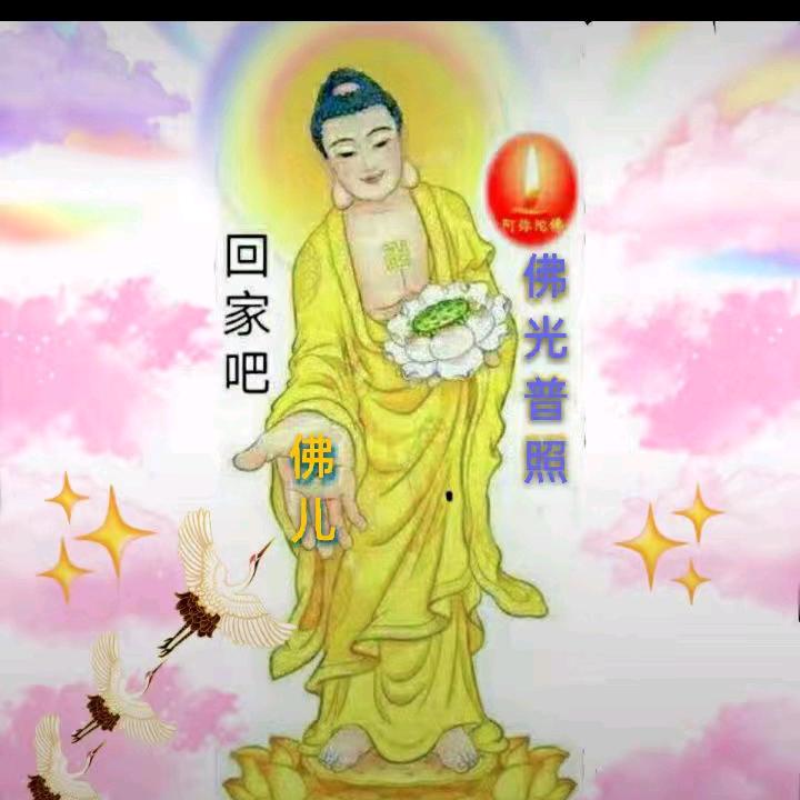 佛儿回家