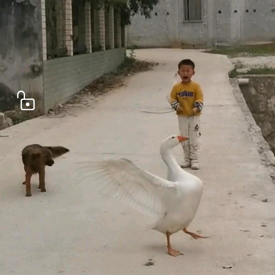 山咔咔平妹几