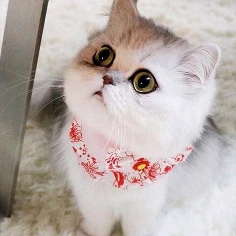 姐就是个传说