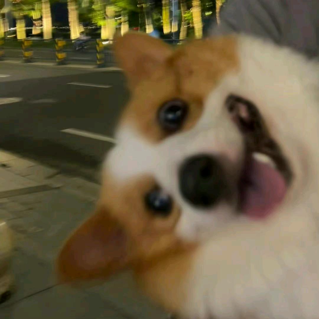 咸鱼不划水