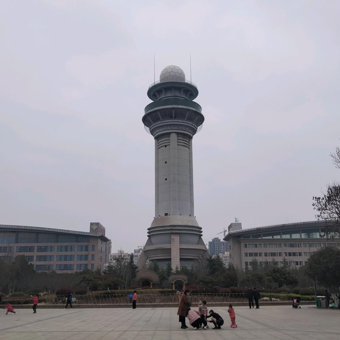 老胡菊花