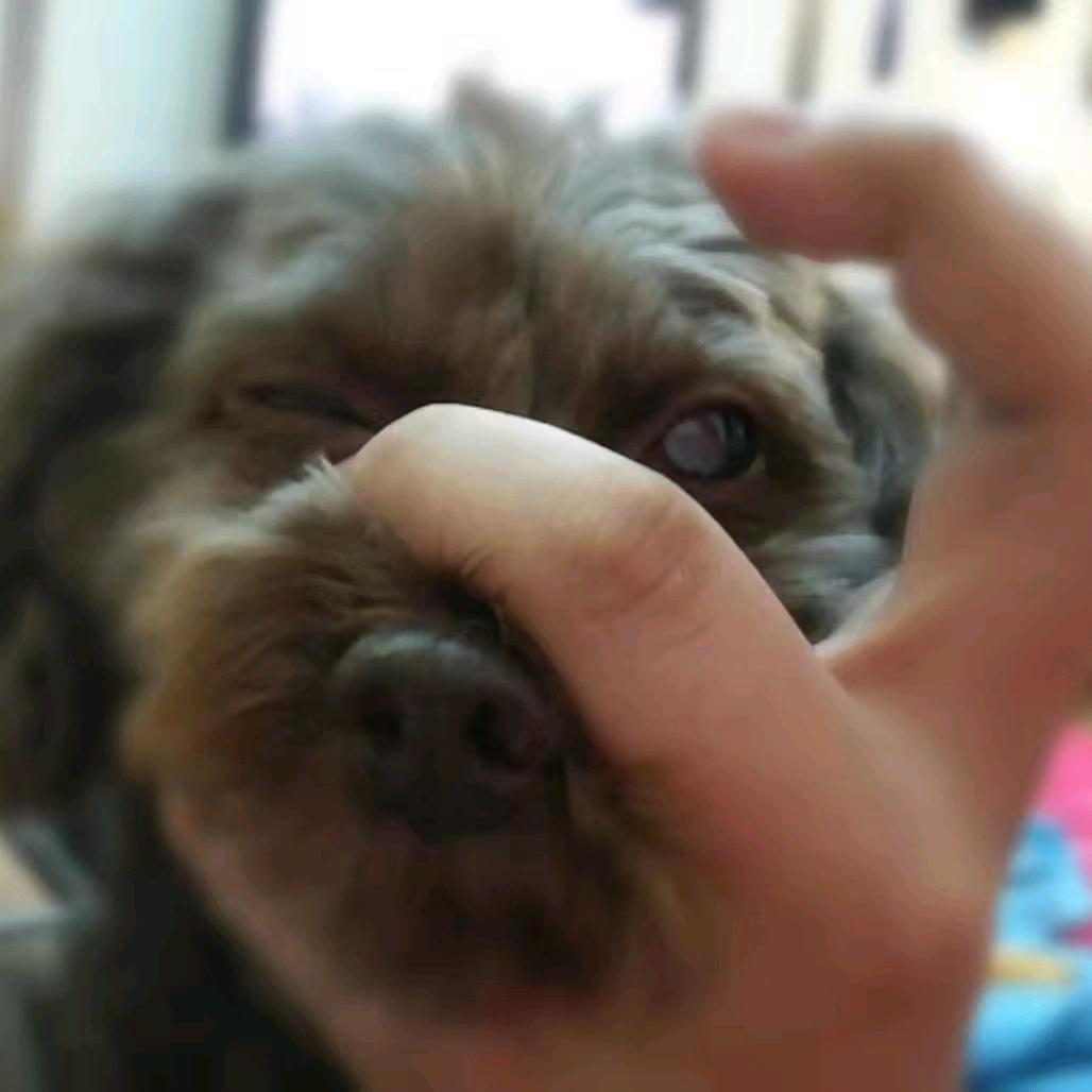 内啡肽的信徒