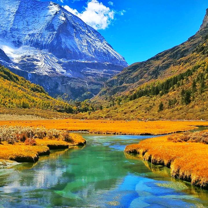 衡水福盈橡胶制品有限公司