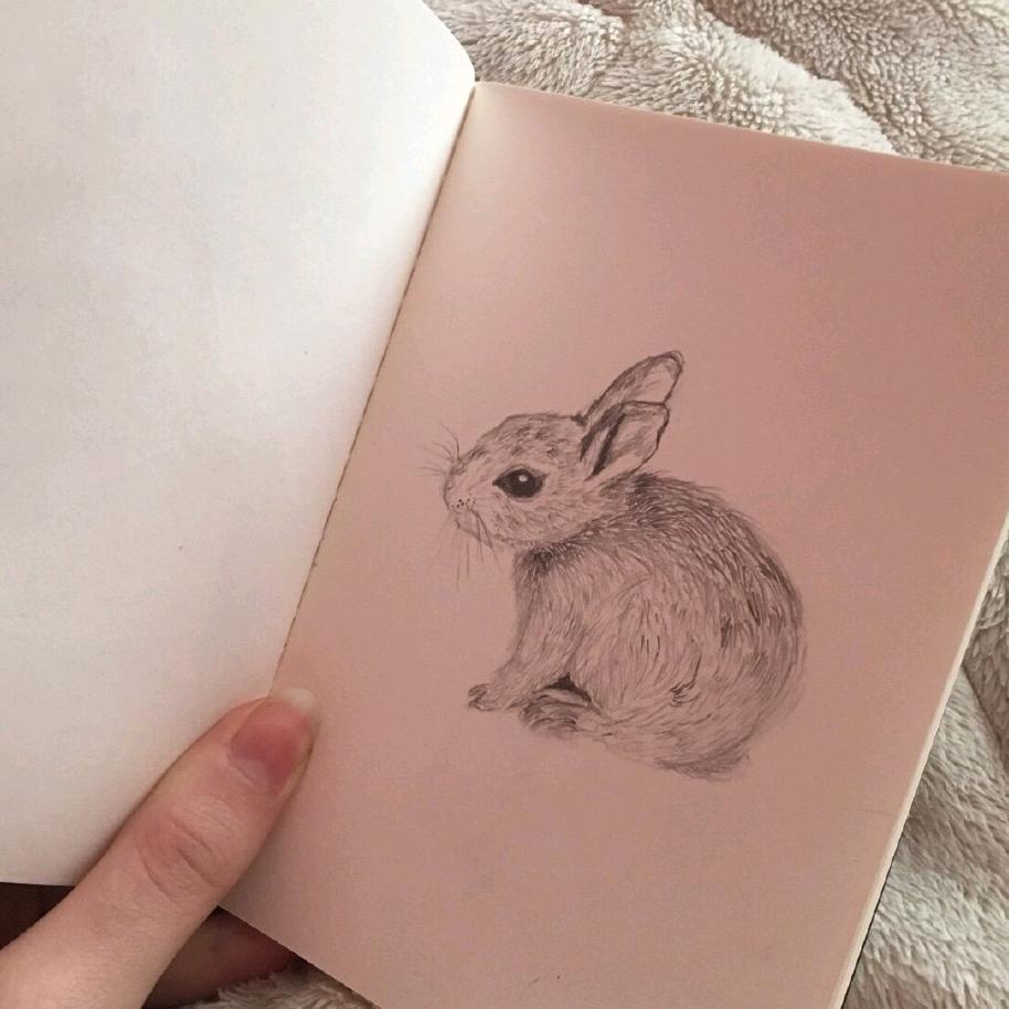 可爱😊苹果🍎