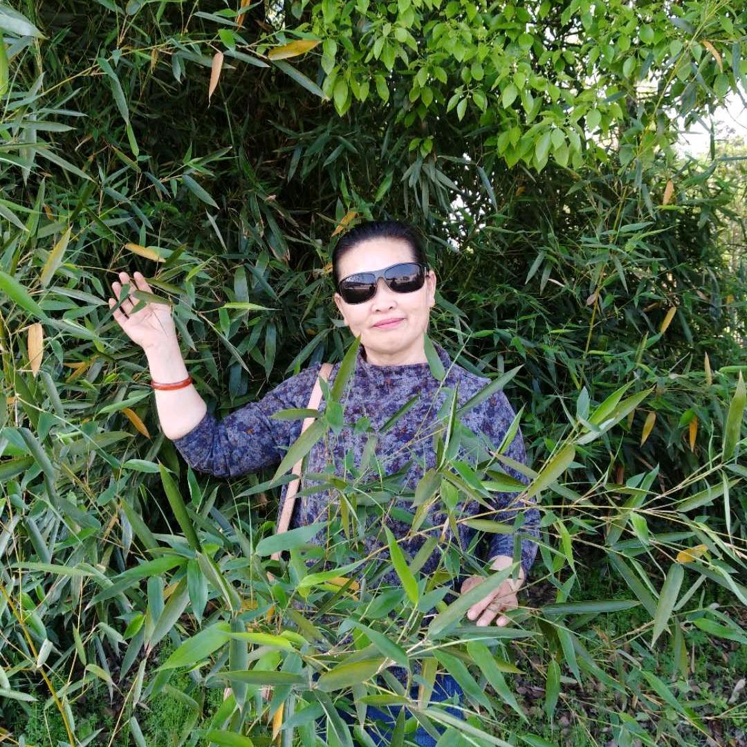 彭敏