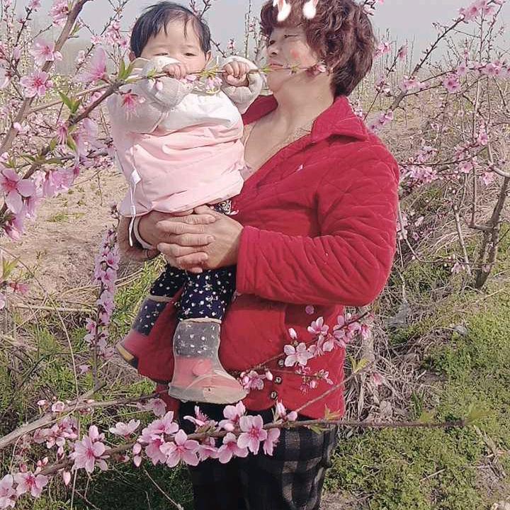 高莎莎