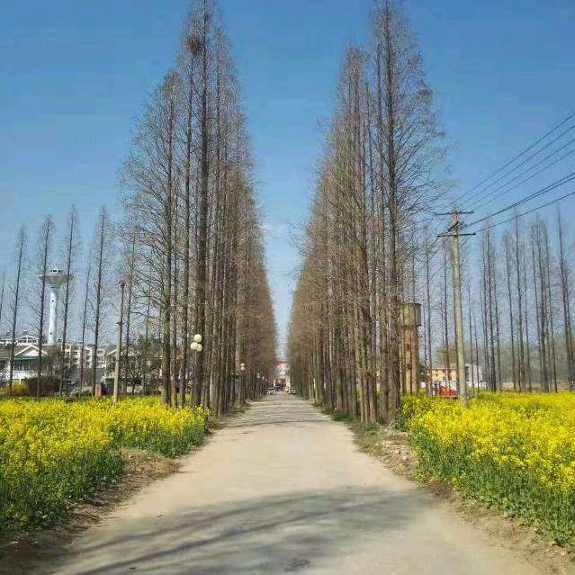 铸颜