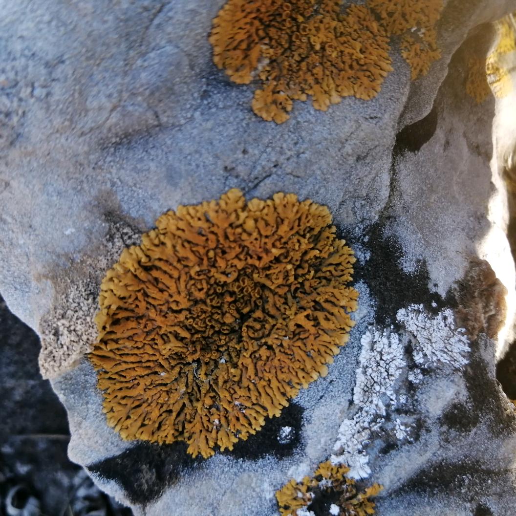 沙漠