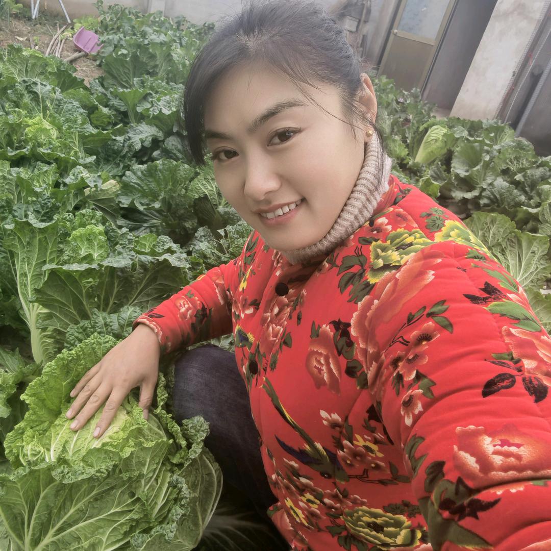 袁梅
