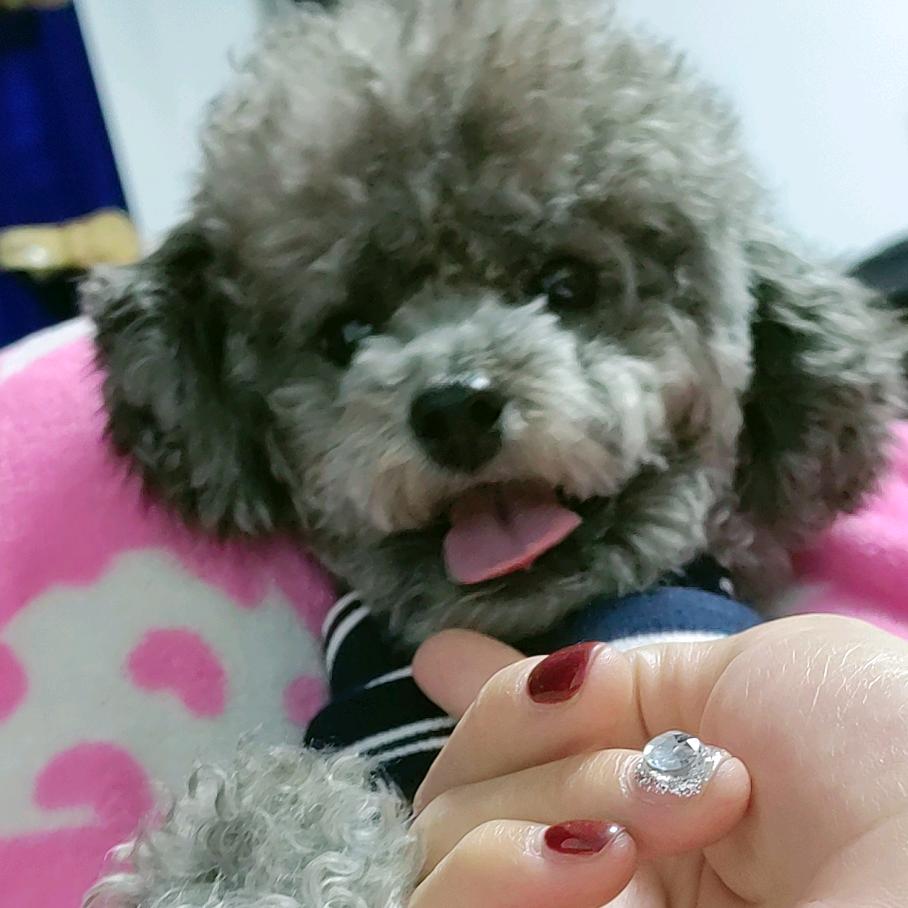 蝴蝶