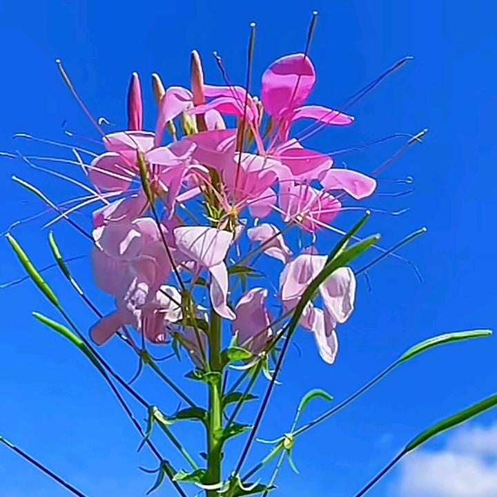 李阳光