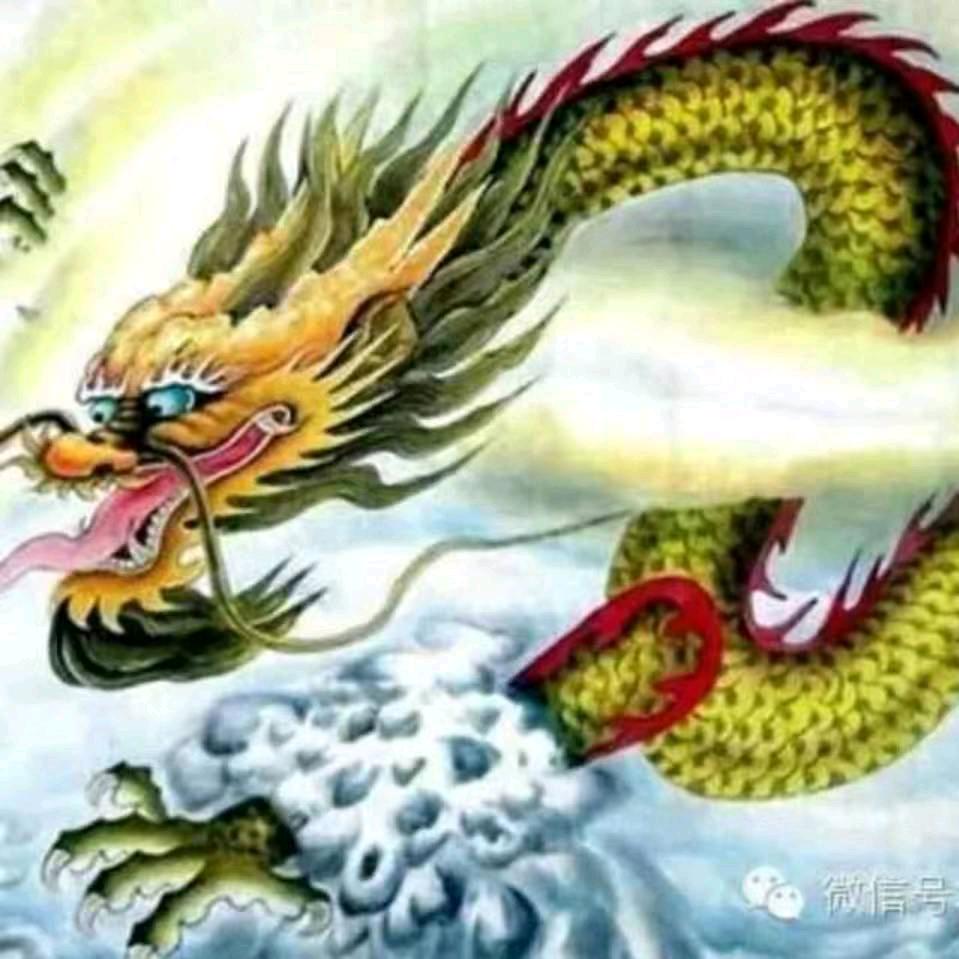 龍在江湖🙏🙏🥂🍻