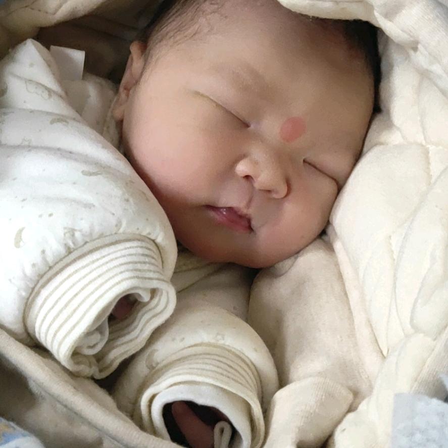盼盼宝