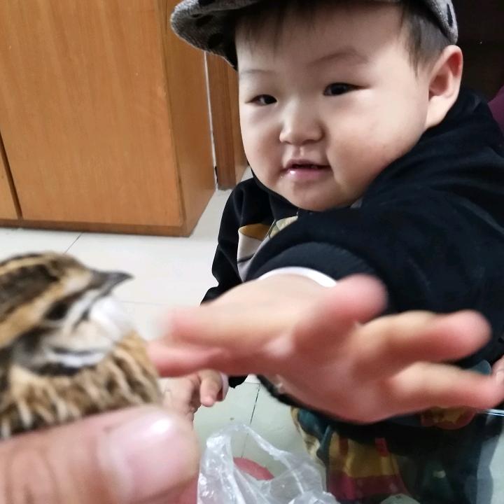 何