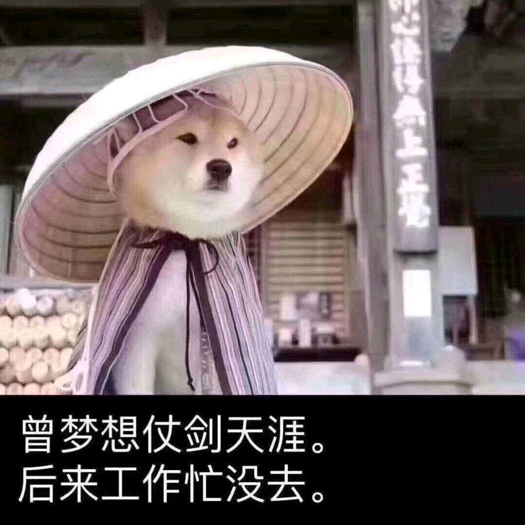 染指流年*