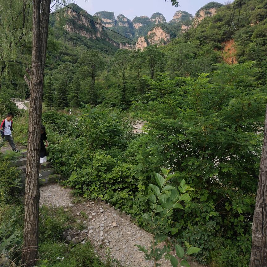 ☀️岁月静好☀️
