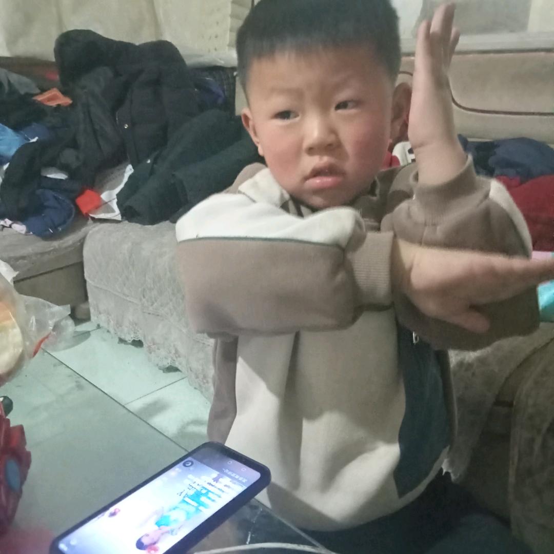 和平精英小灰灰