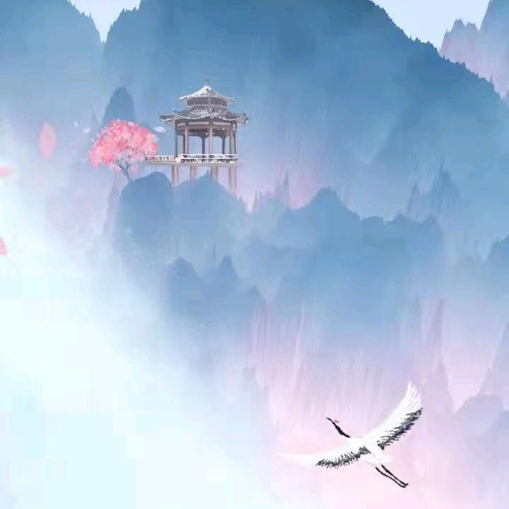 走不完的人生路