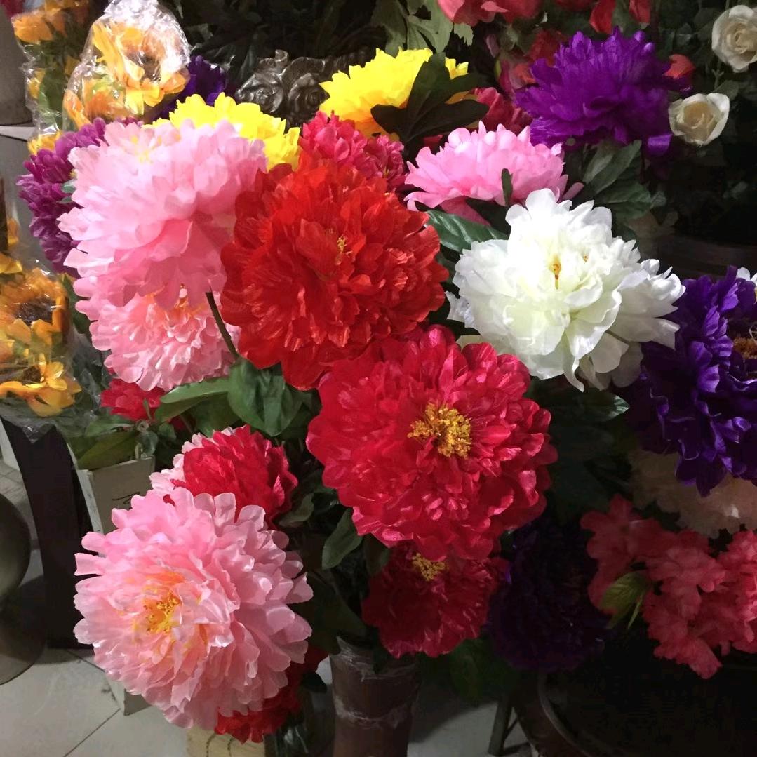 🍎人生幸福靠健康🍎