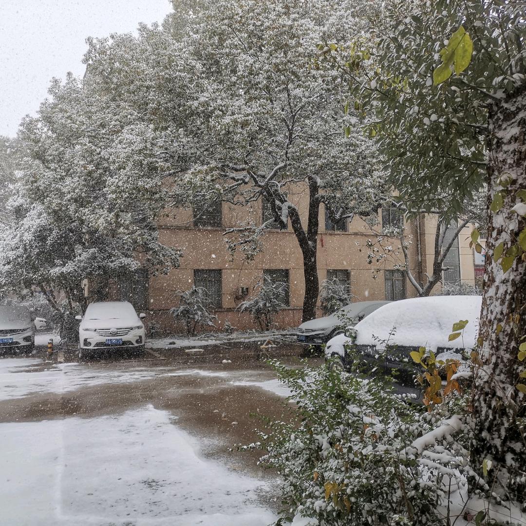 戴雪梅